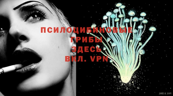 молекула духа Иннополис