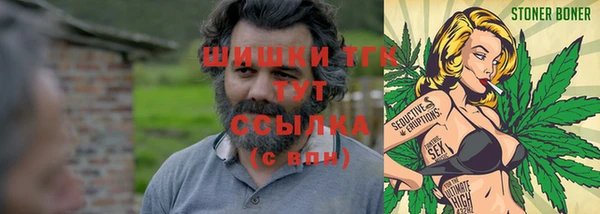 молекула духа Иннополис